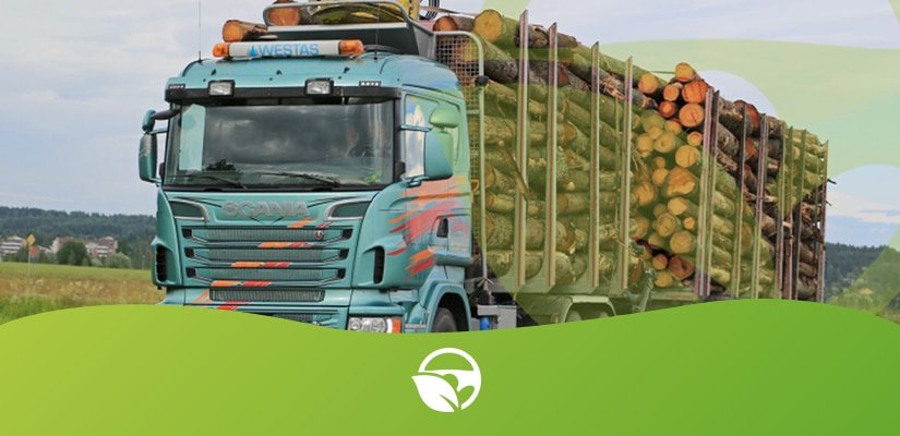 transporte de madeira