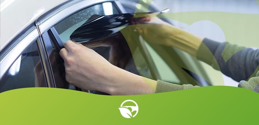 película antivandalismo