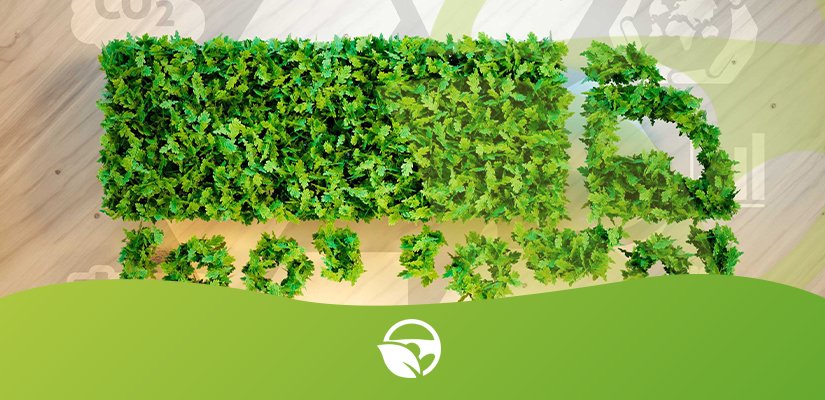 Logística sustentável: como fazer